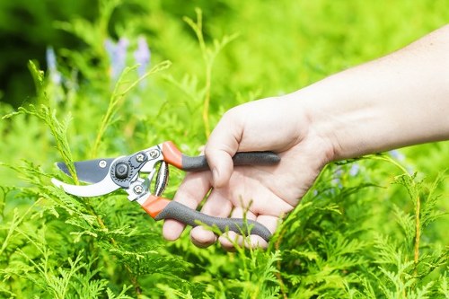 Gardening Hoxton staff using PPE while working in a client garden